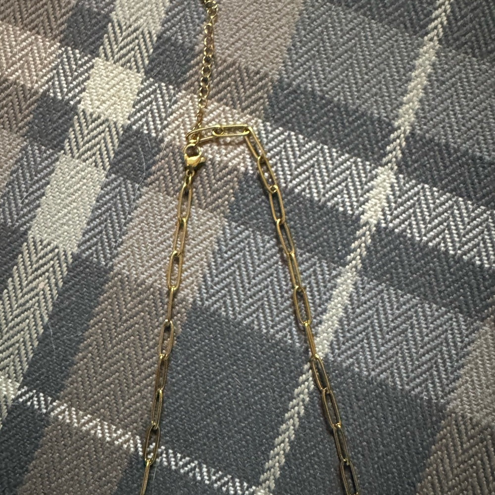 Louis Vuitton Goldtone Pendant with CZs & Stainless Steel Necklace in box - Picture 6 of 7